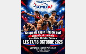 Coupe de Ligue Région Sud